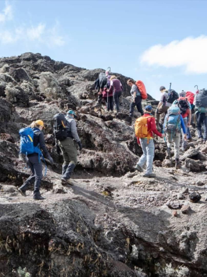 Mt. Kilimanjaro Trekking