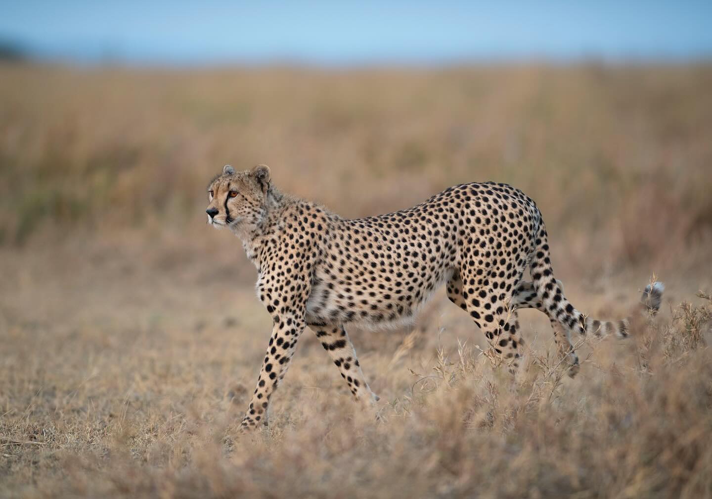 tanzania-culture-safari