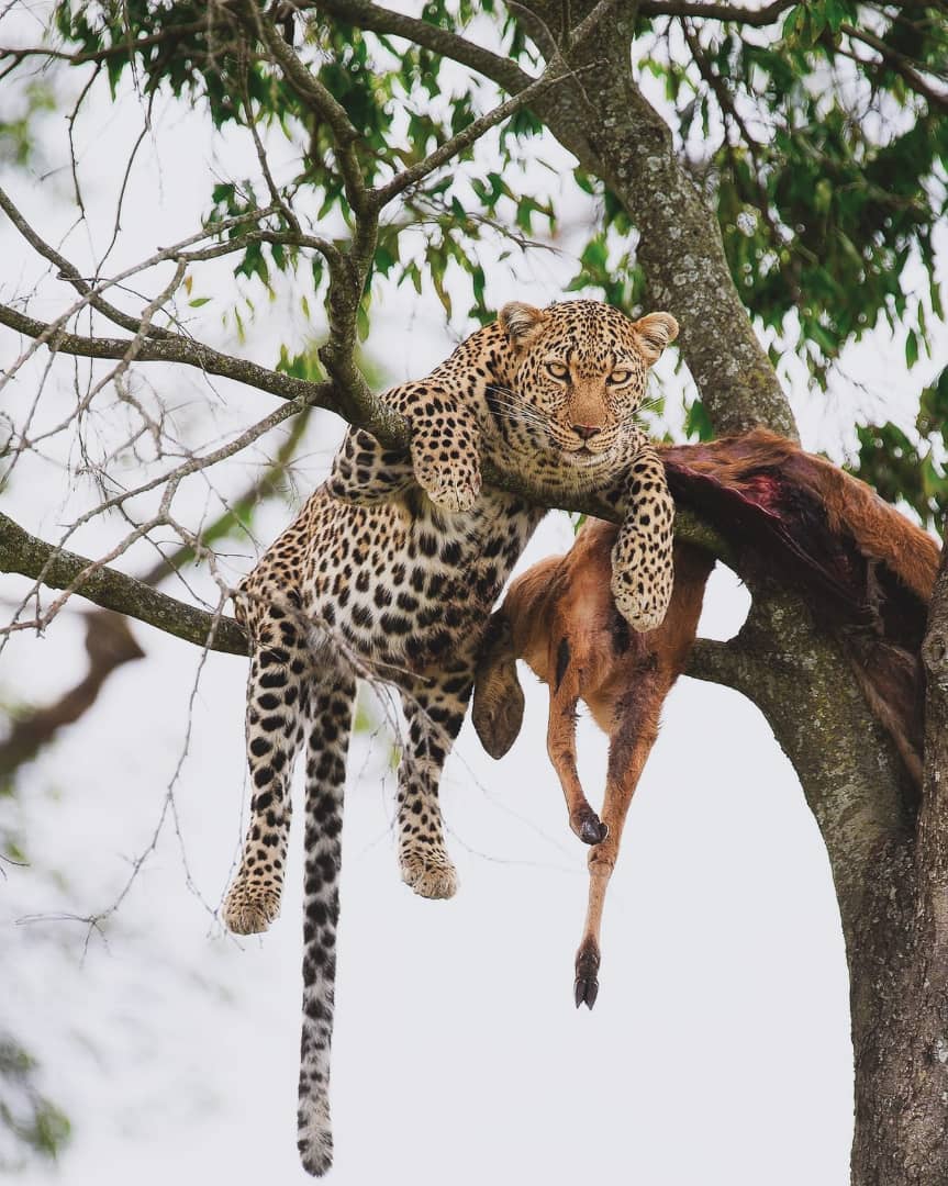tanzania-culture-safari
