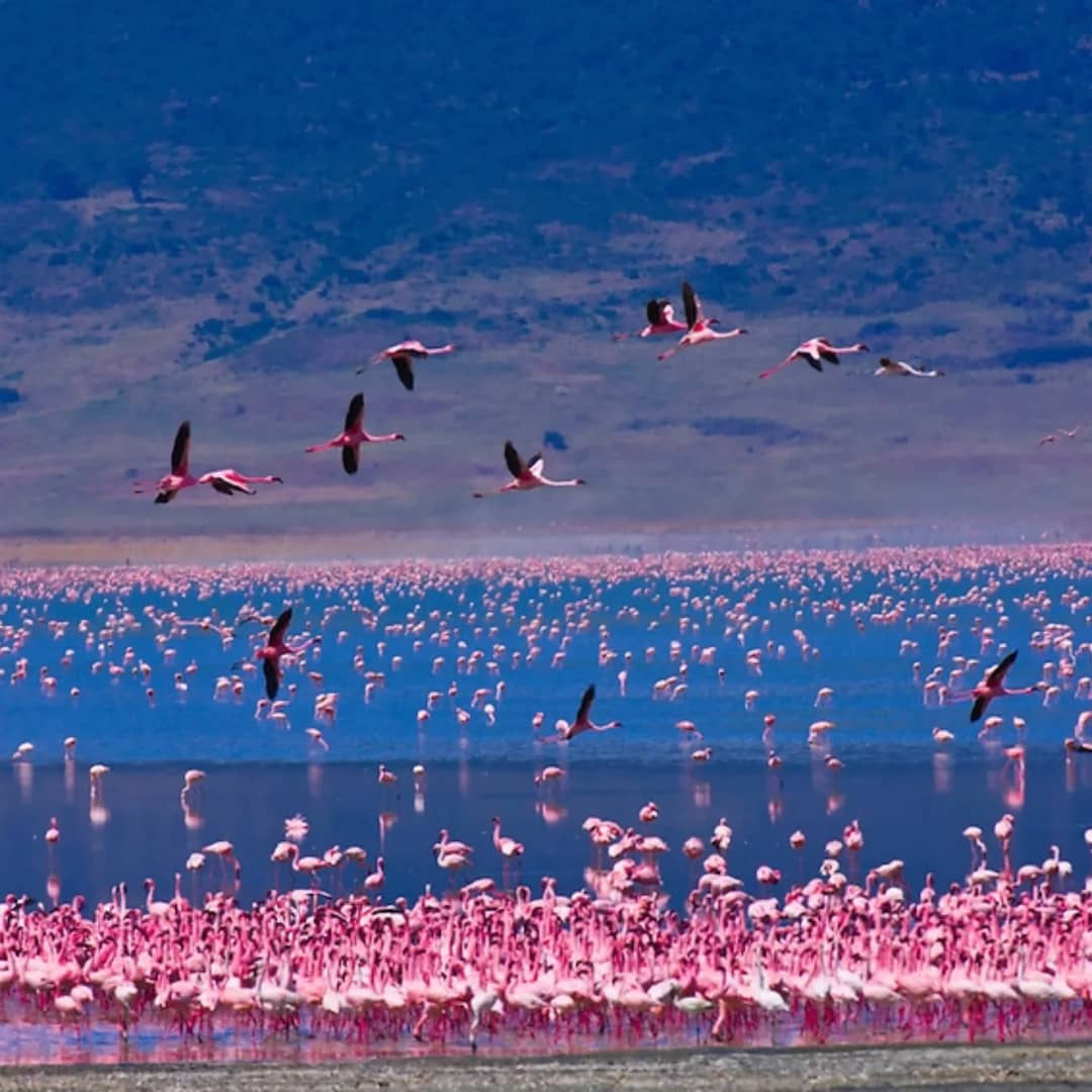 tanzania-culture-safari