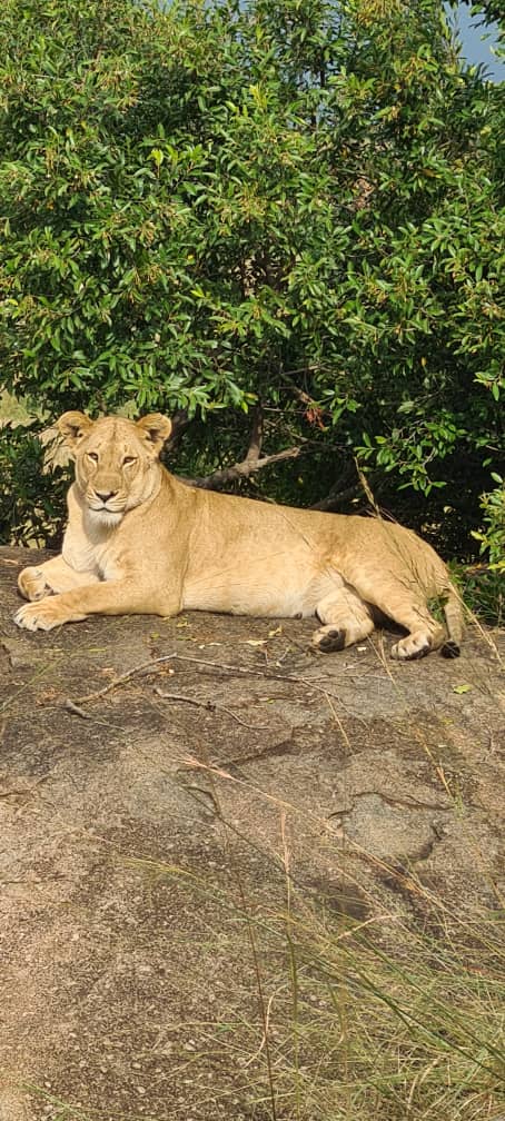 tanzania-culture-safari